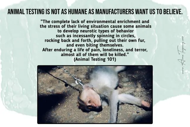 Animal Testing Cruelty Facts