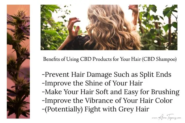 Benefits of CBD Oil for Hair Loss