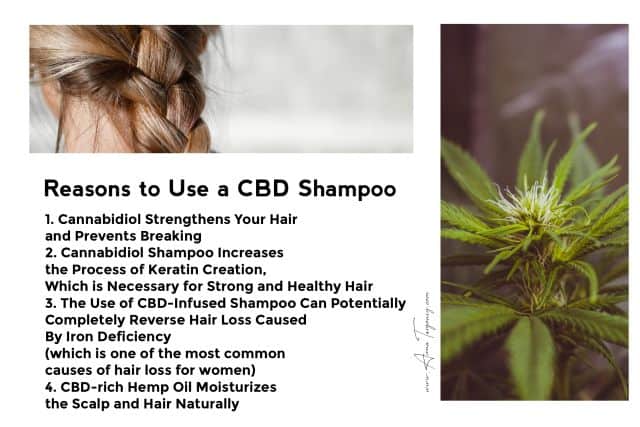 benefits of CBD for your hair