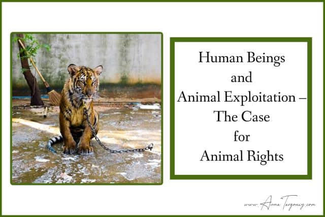 Human Beings and Animal Exploitation – The Case for Animal Rights